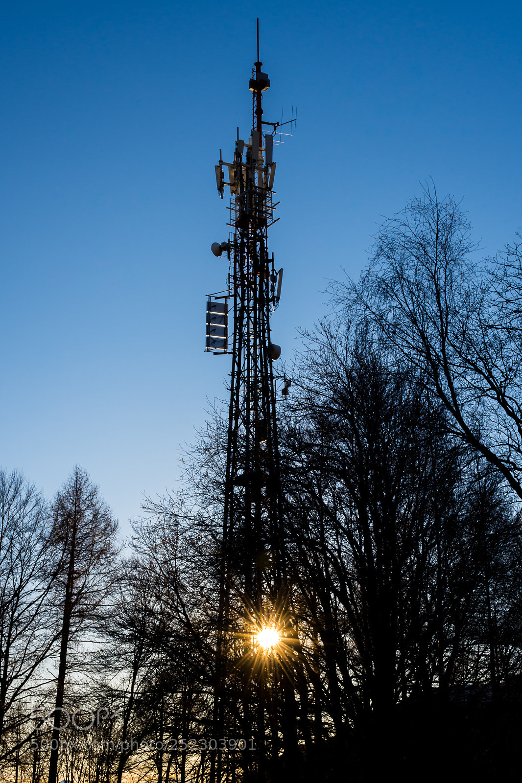 Nikon D7200 sample photo. Communication in backlight photography