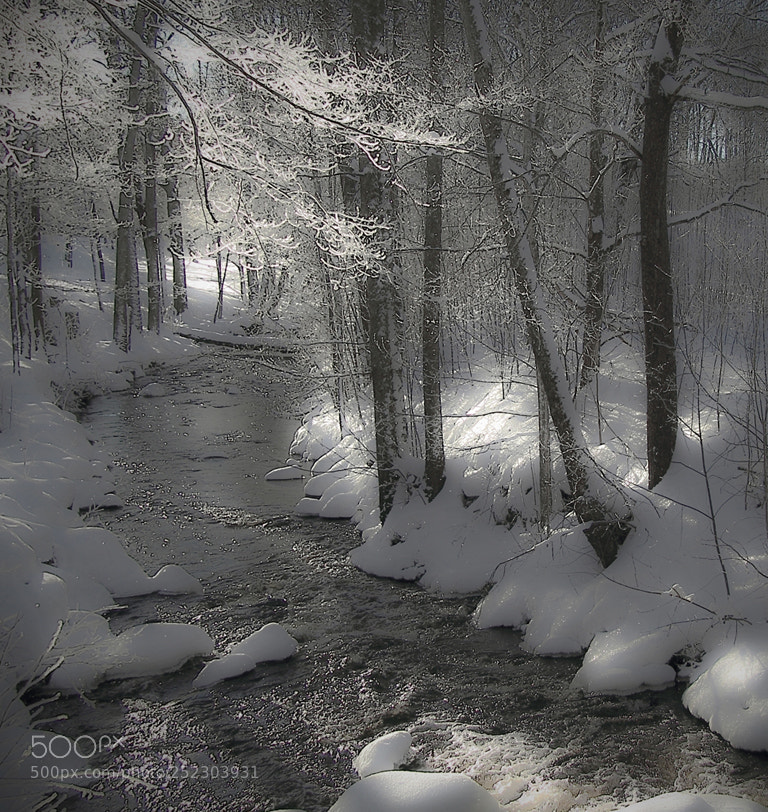 Canon EOS 60D sample photo. Winter photography