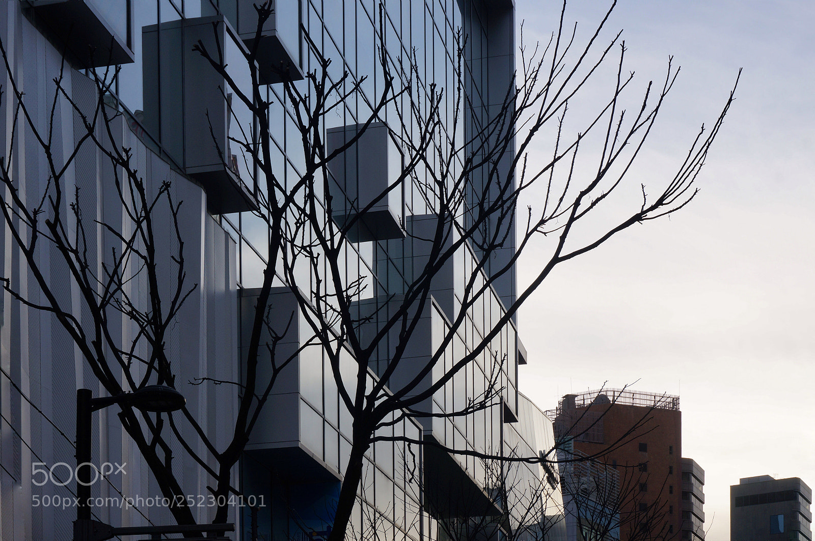 Sony Alpha NEX-5R sample photo. Untitled photography