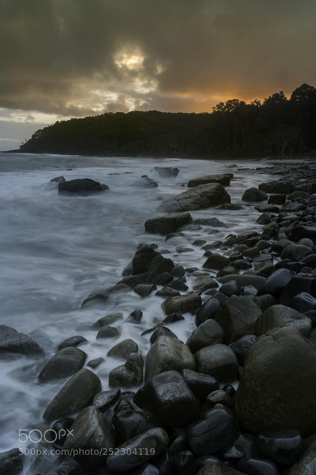Nikon D500 sample photo. Tea tree bay sunrise photography