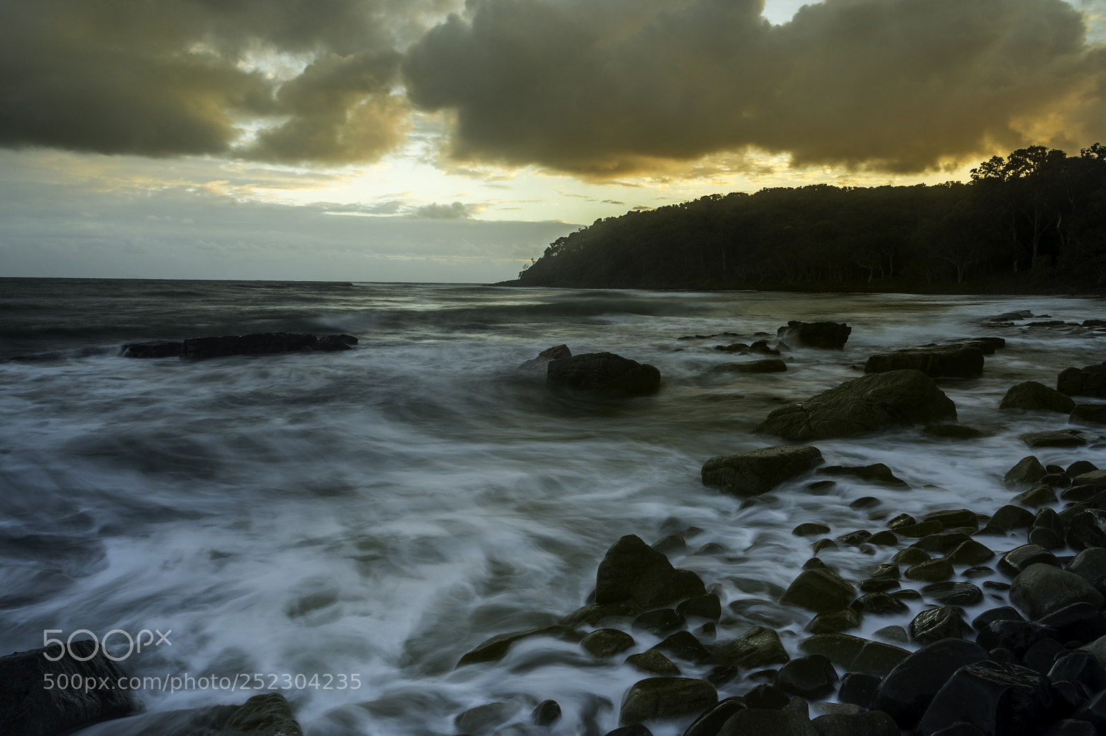 Nikon D500 sample photo. Tea tree bay sunrise 23 photography