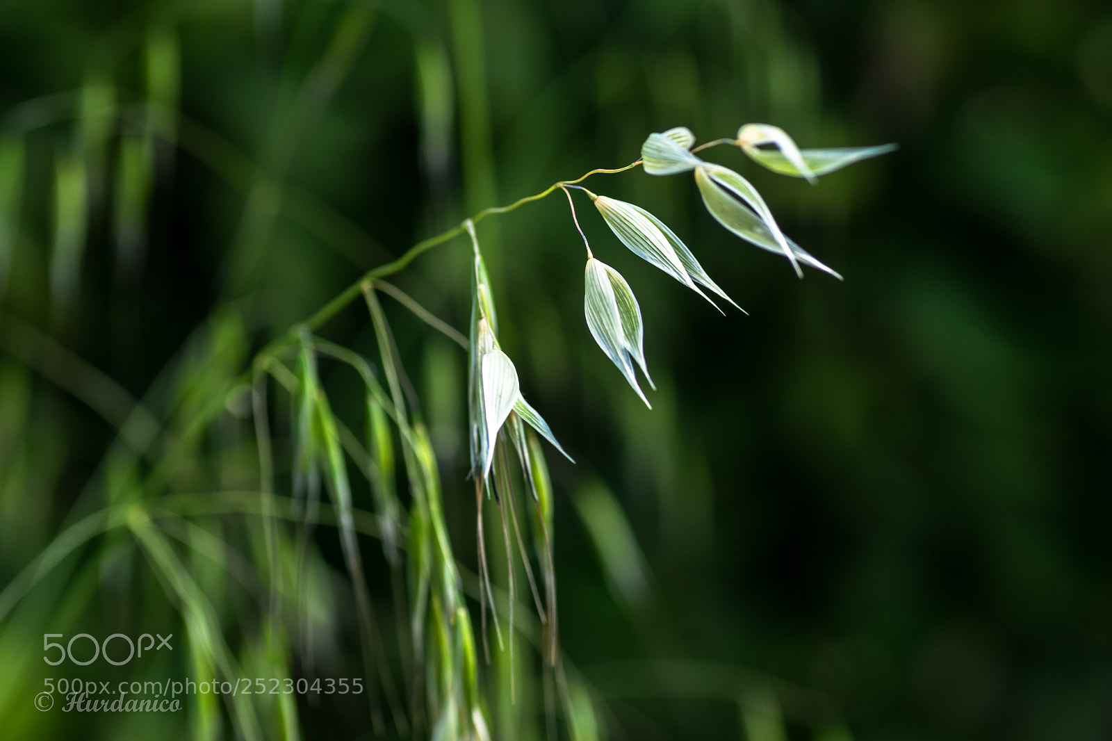 Nikon D5300 sample photo. The wait photography