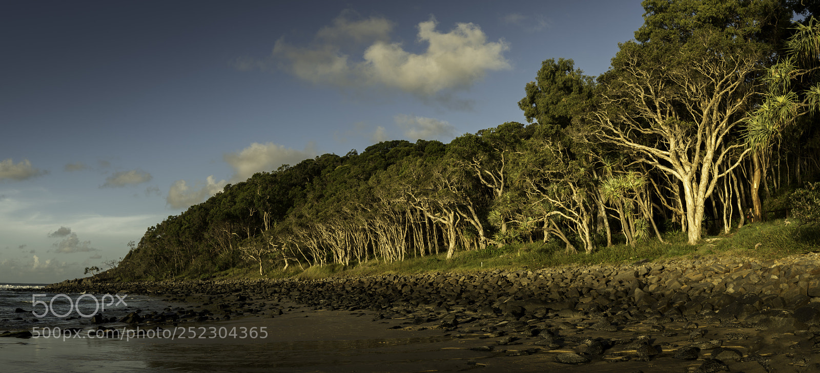 Nikon D500 sample photo. Tea tree bay photography