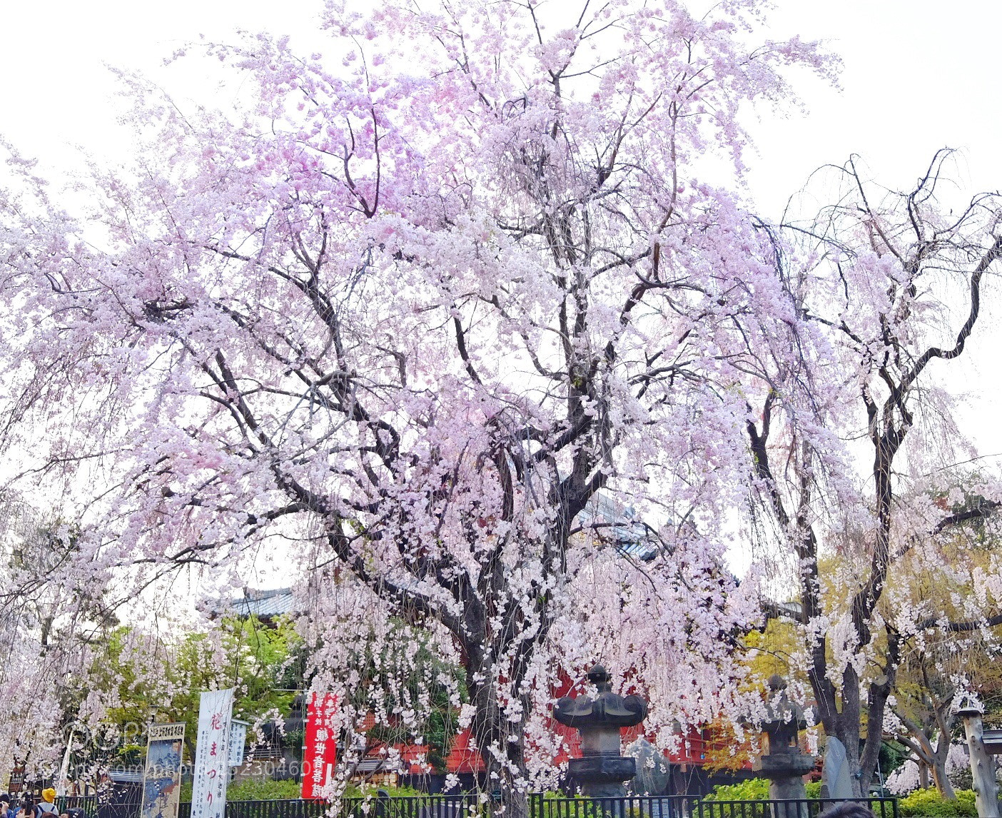 Fujifilm X70 sample photo. Untitled photography