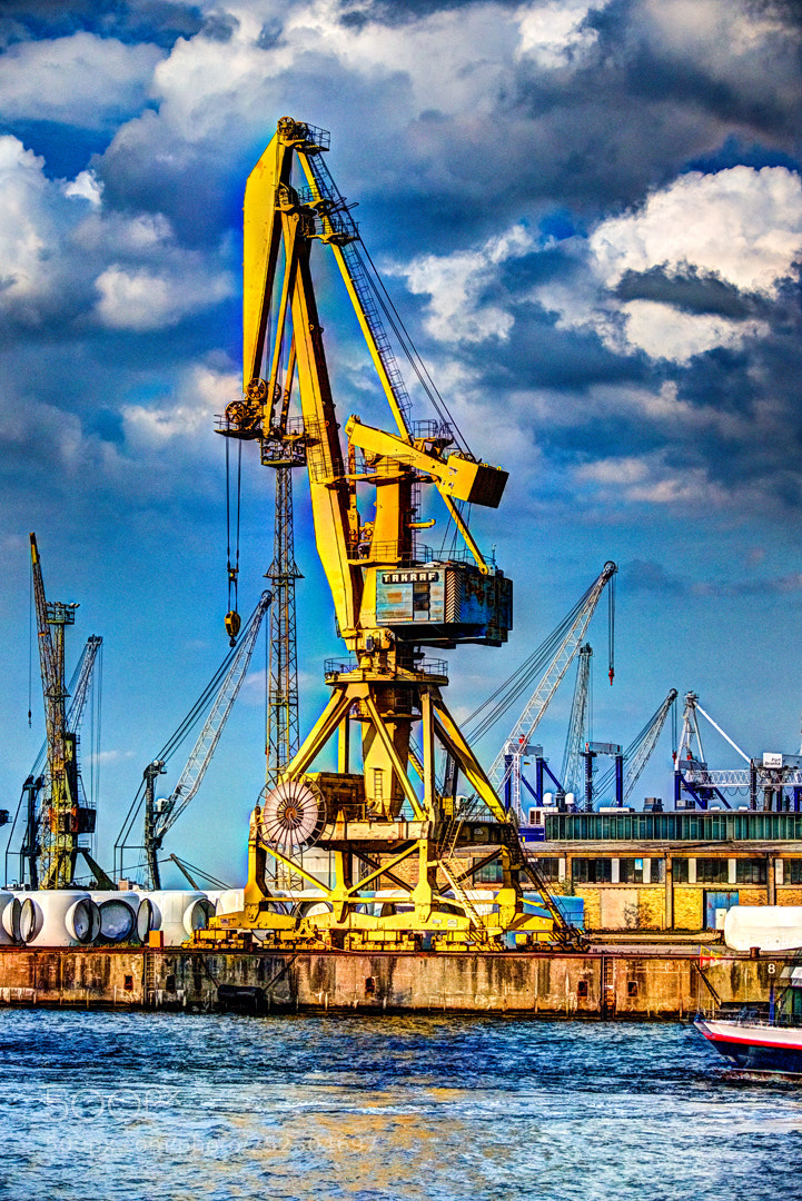 Panasonic Lumix DMC-FZ1000 sample photo. Crane photography