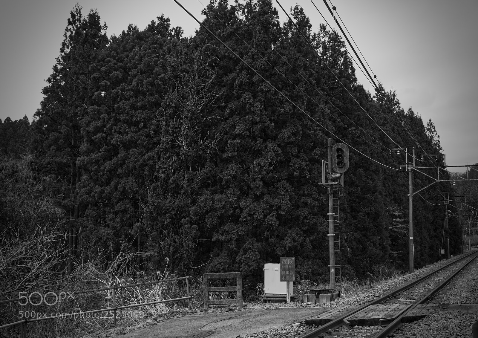 Nikon D7200 sample photo. Monster photography