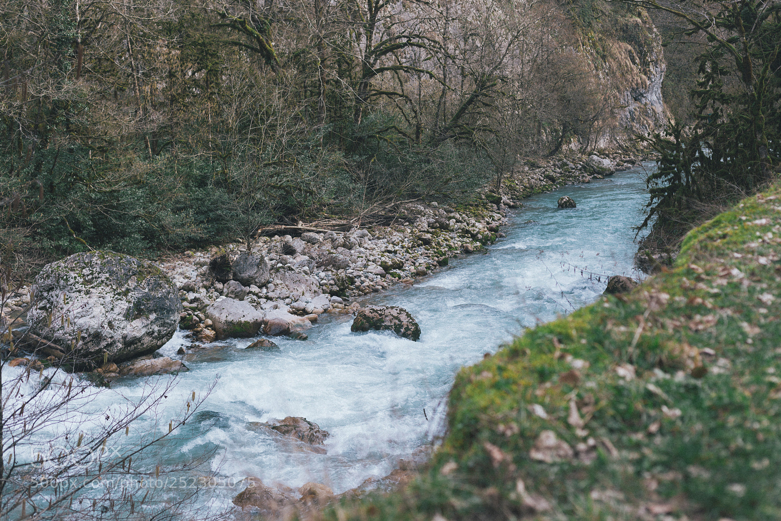 Canon EOS 5D Mark II sample photo. Untitled photography