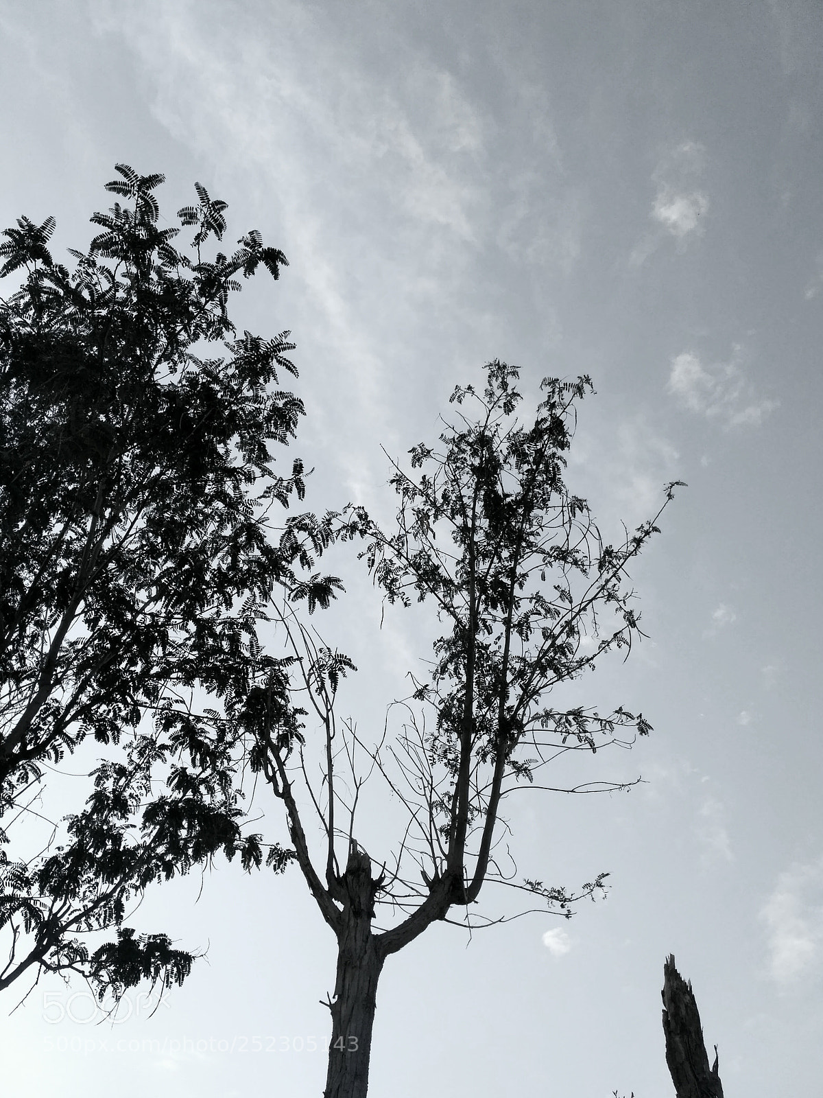 Xiaomi Redmi 3S sample photo. Untitled photography