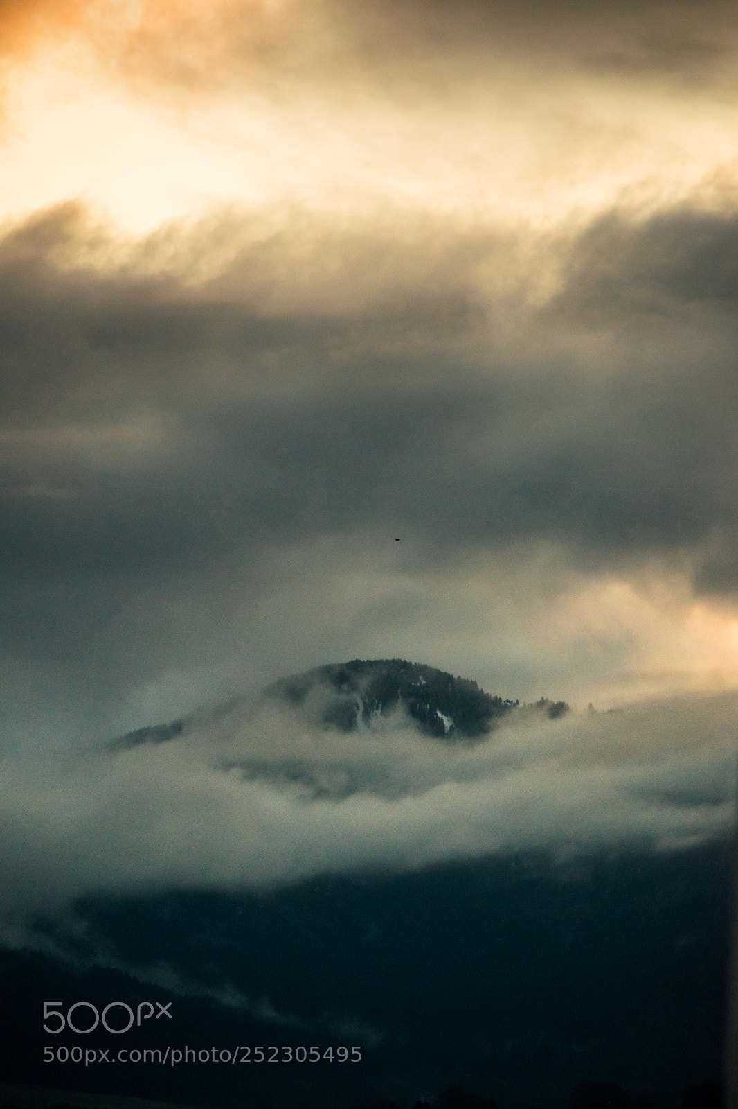 Nikon D5300 sample photo. Mountain in fog photography