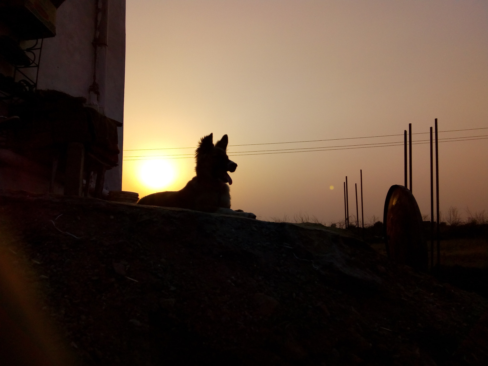 Motorola Moto C Plus sample photo. ������������������������������� photography