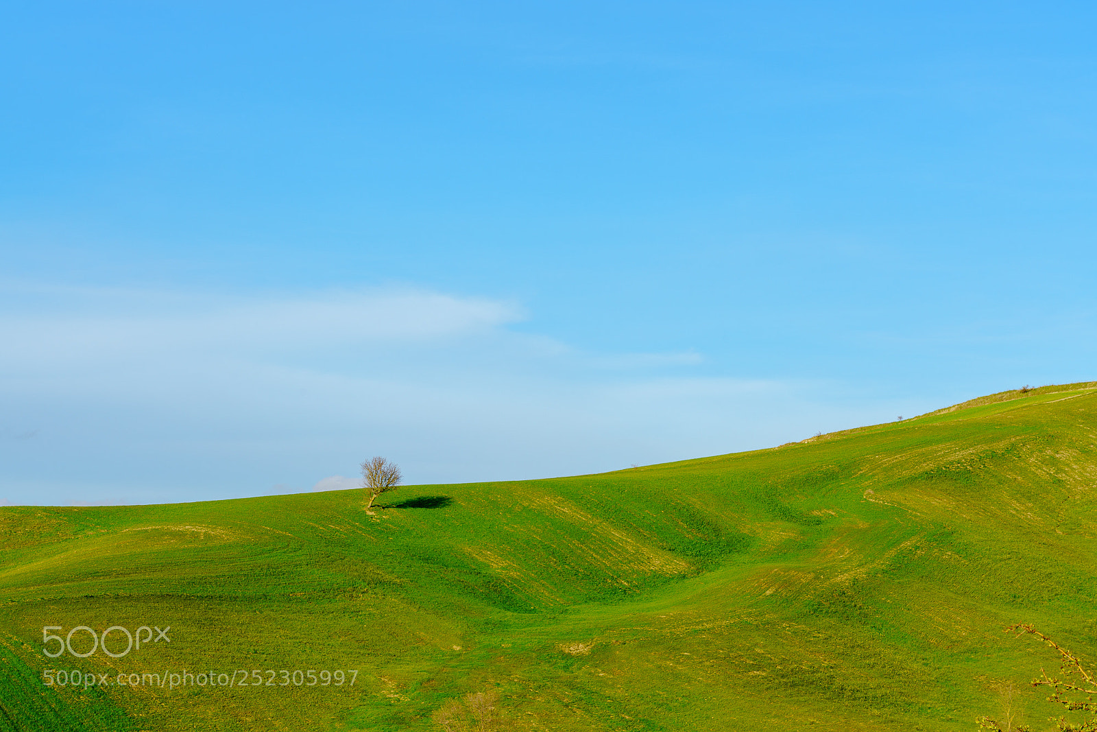 Sony a7R III sample photo. Lonely tree photography