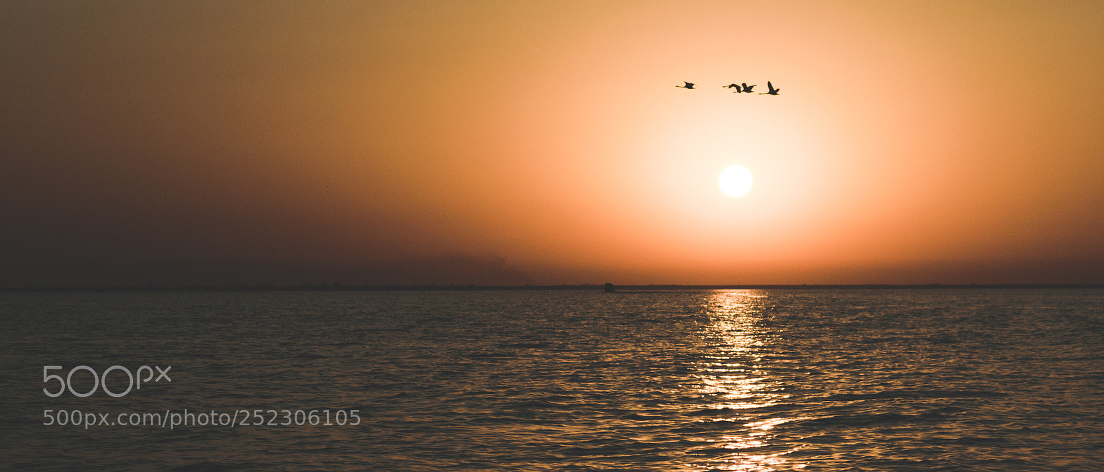 Nikon D3300 sample photo. Sun going to sleep photography