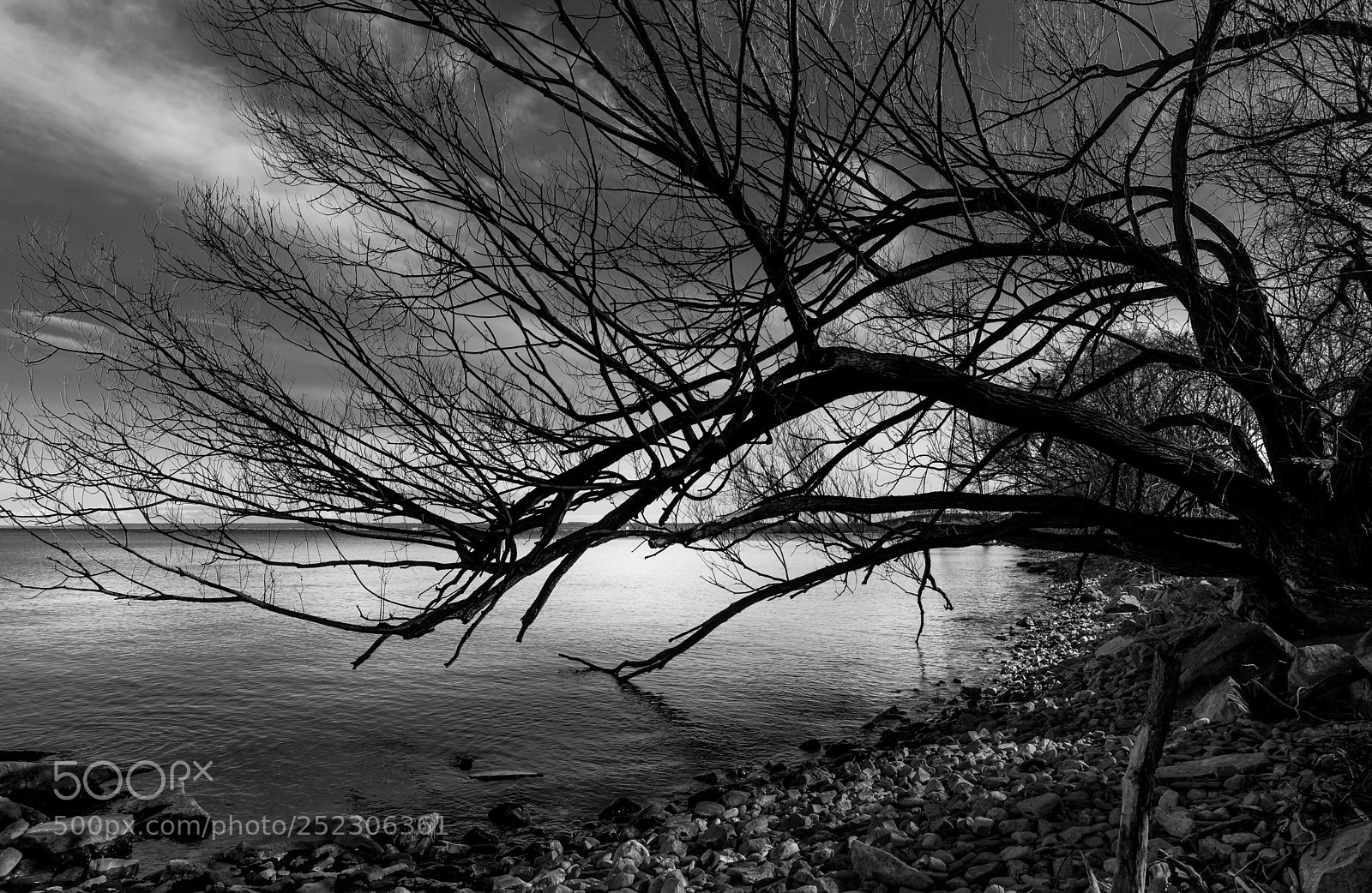 Nikon D7100 sample photo. Waiting for warmer weather photography
