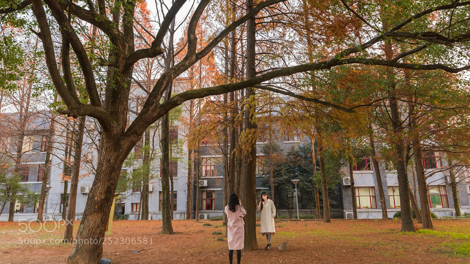 Nikon D810 sample photo. Girls shooting photos on photography