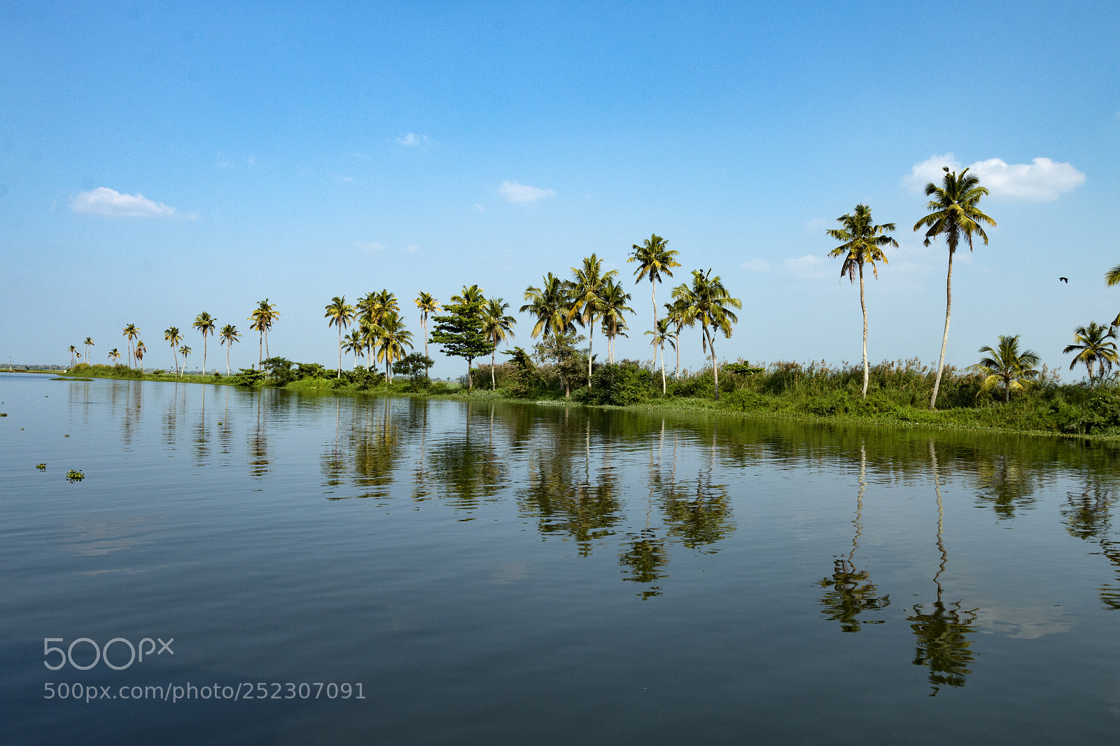 Canon EOS 70D sample photo. Kerala backwaters reflections photography