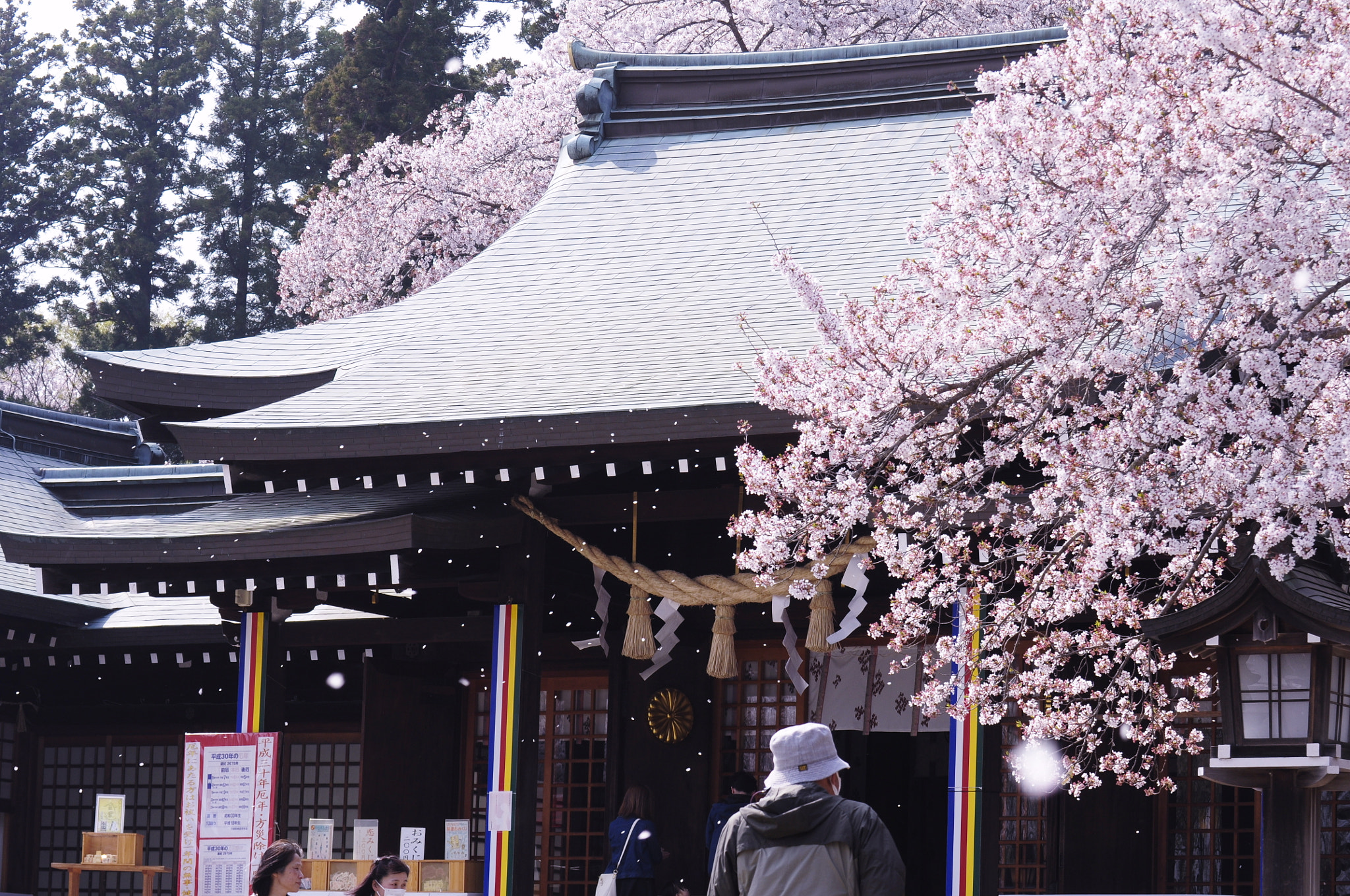 Nikon D90 sample photo