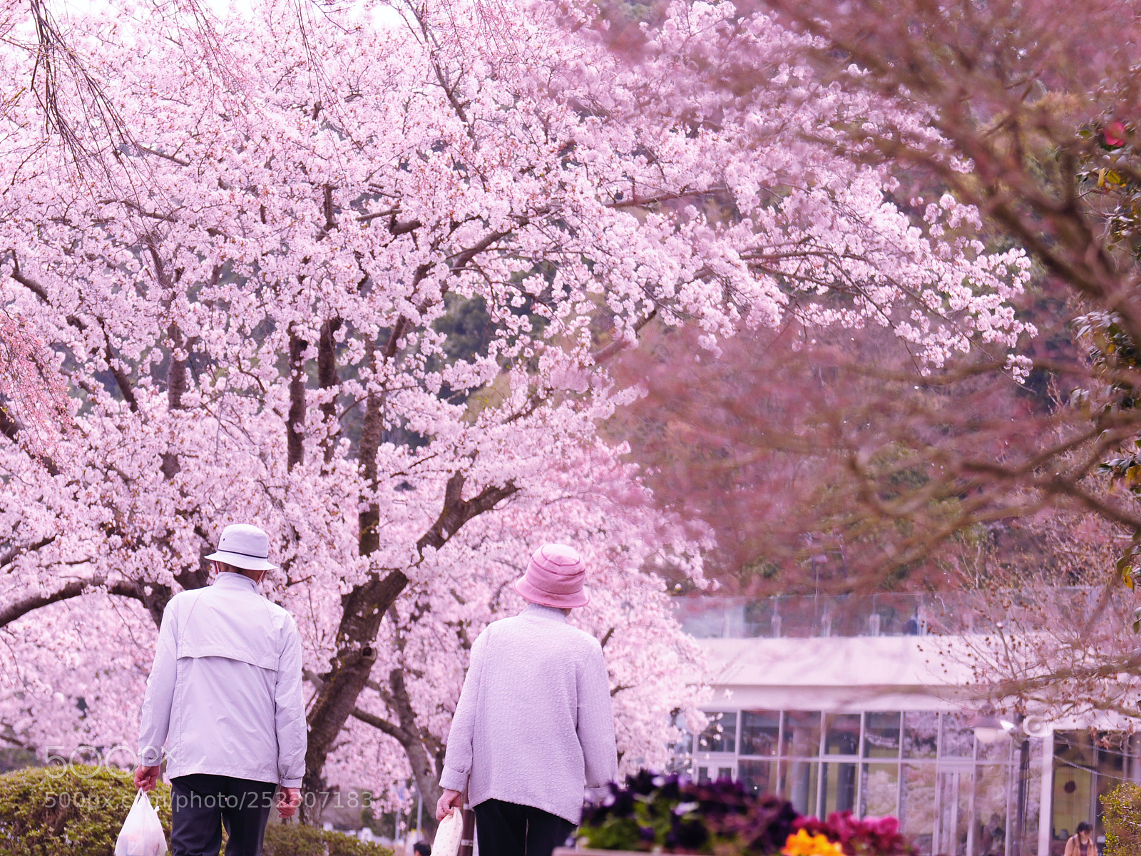 Nikon D90 sample photo. Untitled photography