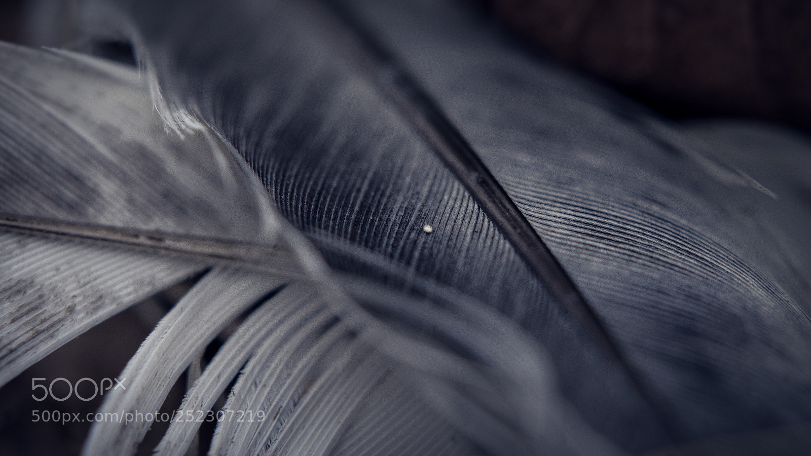 Sony a7 II sample photo. Back to the roots photography