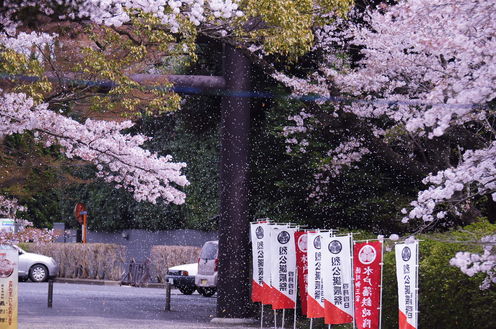 Nikon D90 sample photo