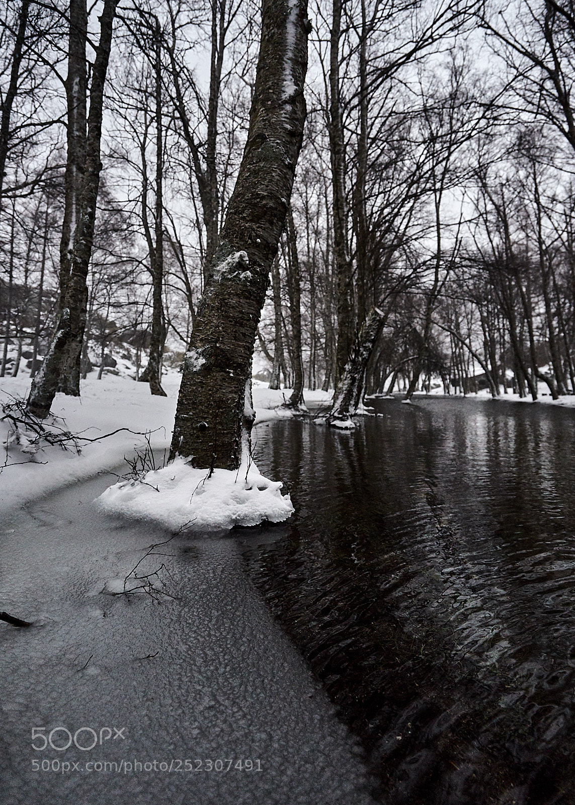 Sony a7 II sample photo. Cold photography