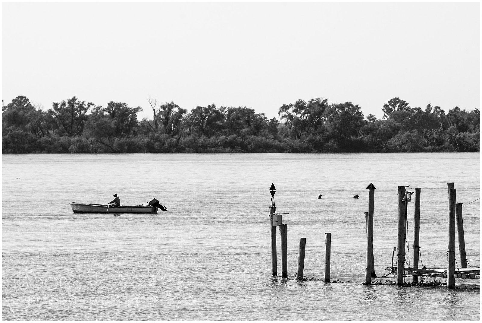 Nikon D7200 sample photo. Pescador del paraná photography