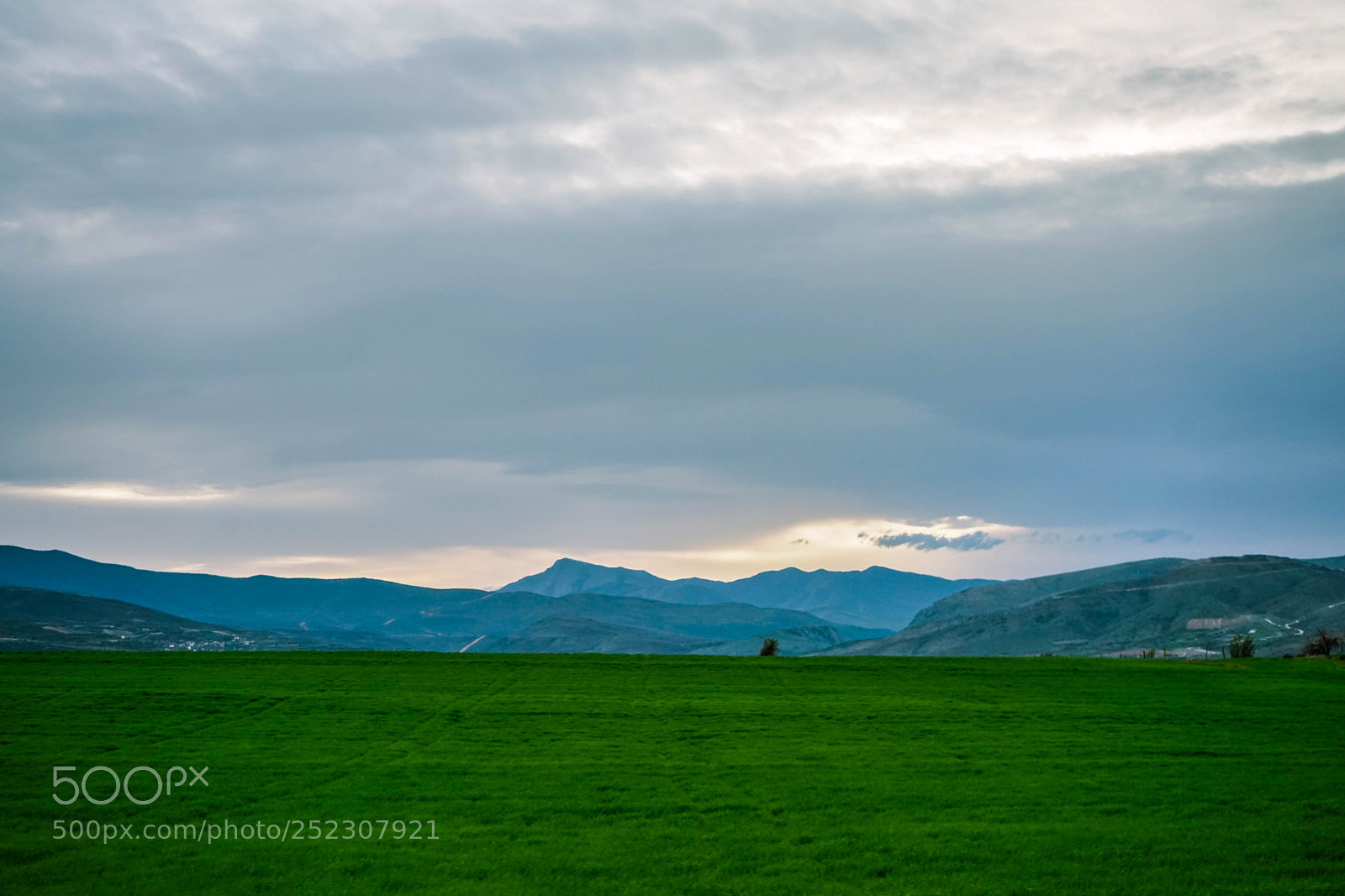 Sony a7 sample photo. Panorama of grass photography