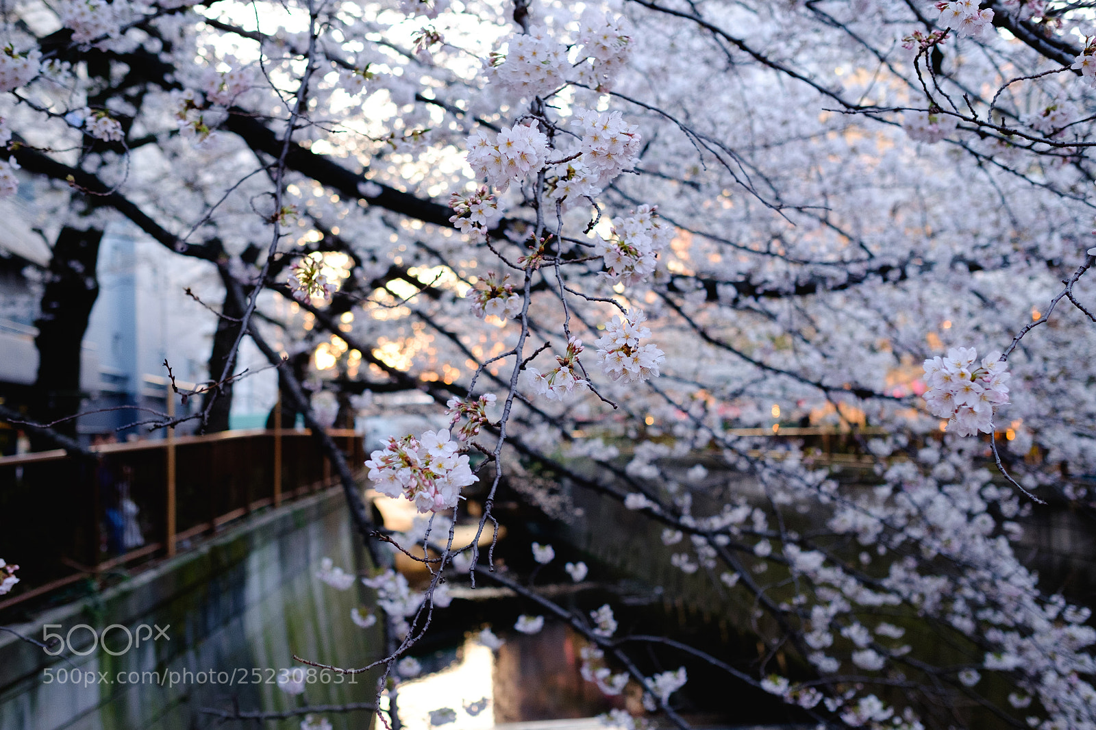 Fujifilm X-T10 sample photo. Untitled photography