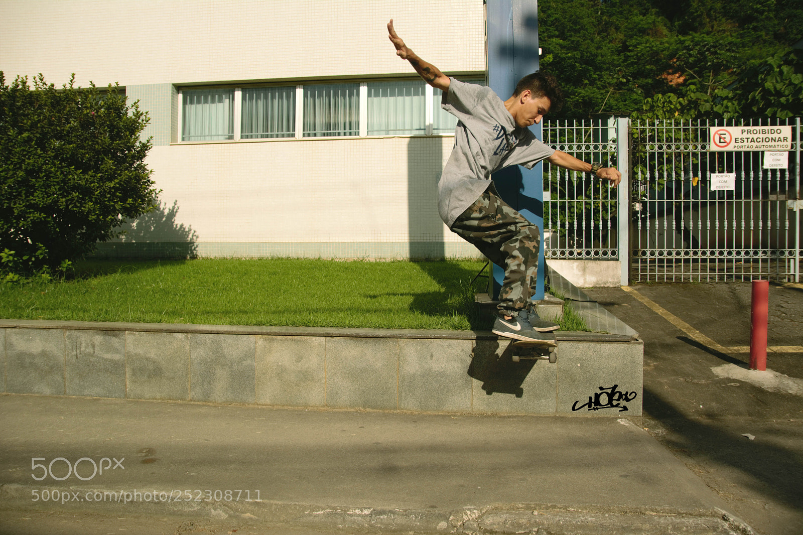 Nikon D5200 sample photo. Bs nose photography
