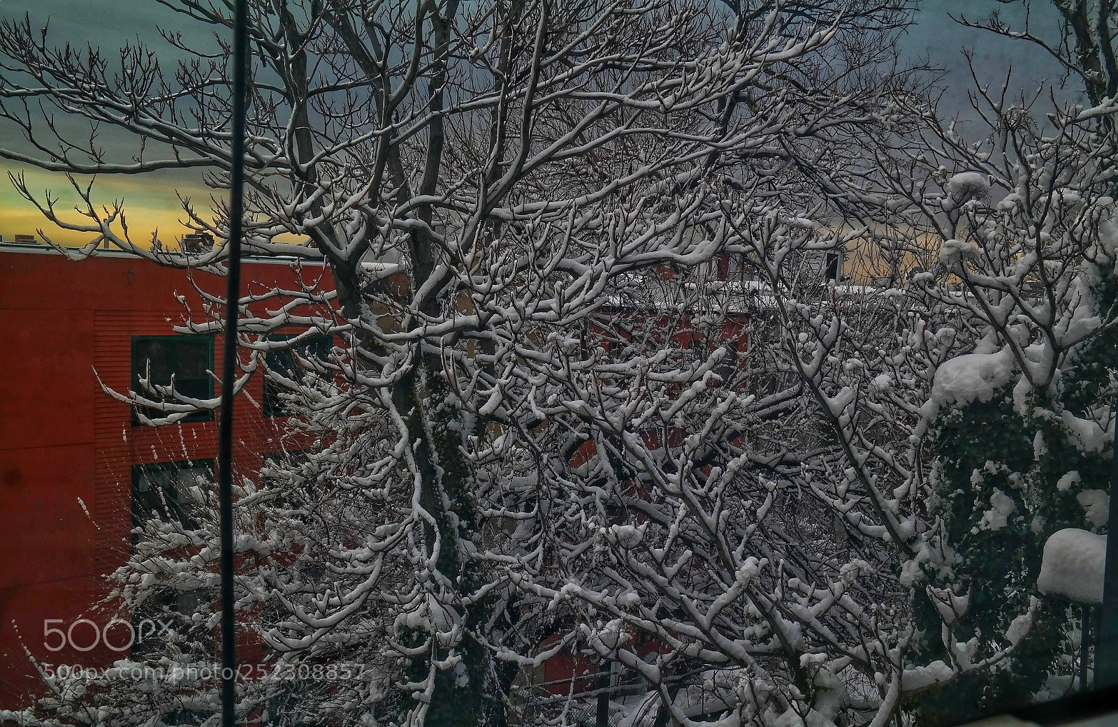 Samsung NX300 sample photo. Winter tree photography