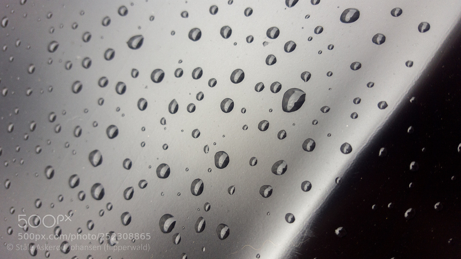 Samsung Galaxy S6 sample photo. Nicola photography