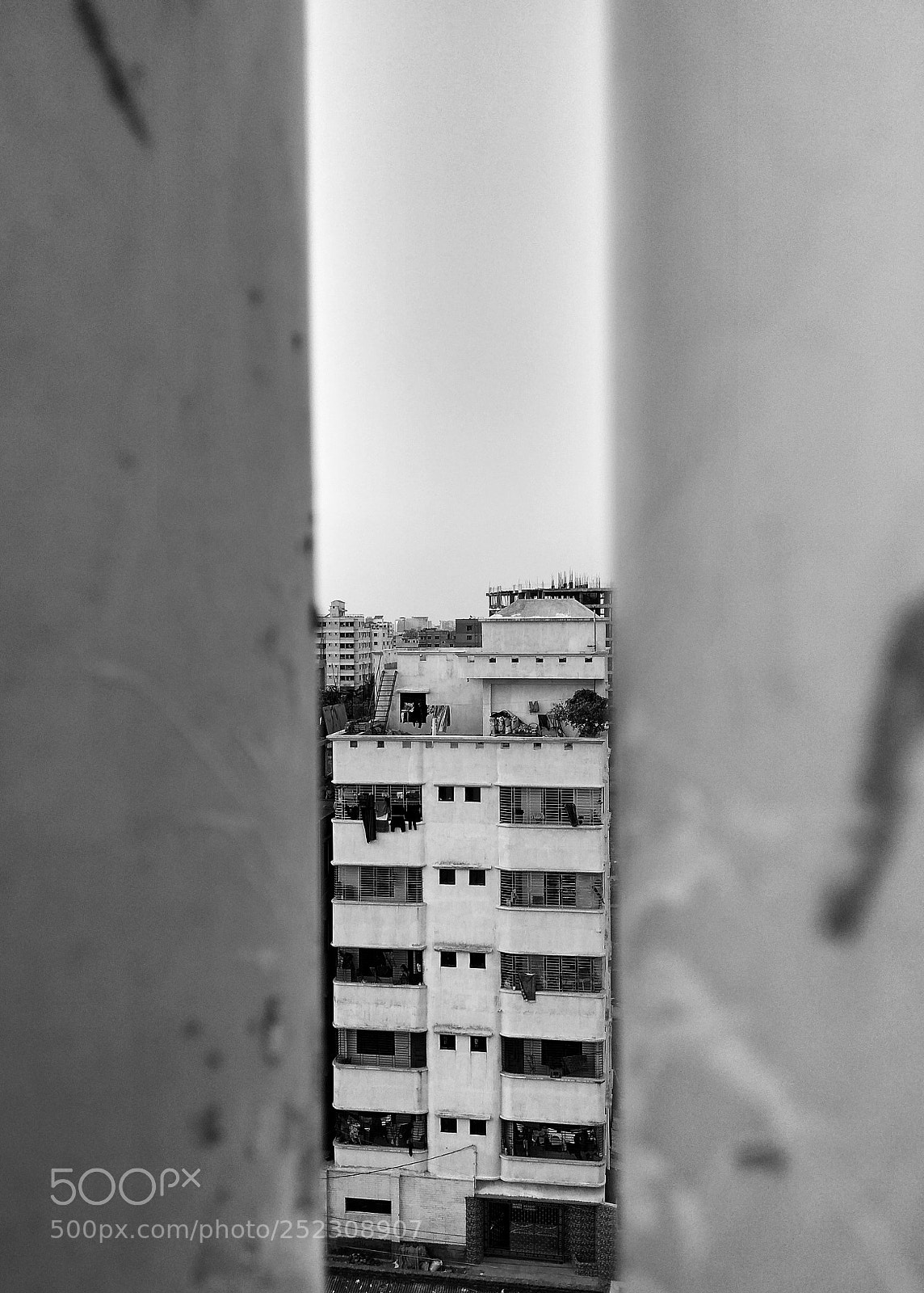 Xiaomi Redmi Note 4 sample photo. Squeeze photography