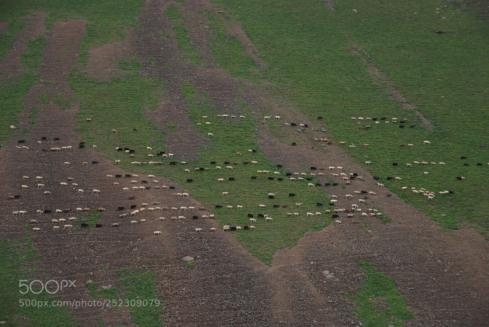 Nikon D80 sample photo. Mountain pasture photography