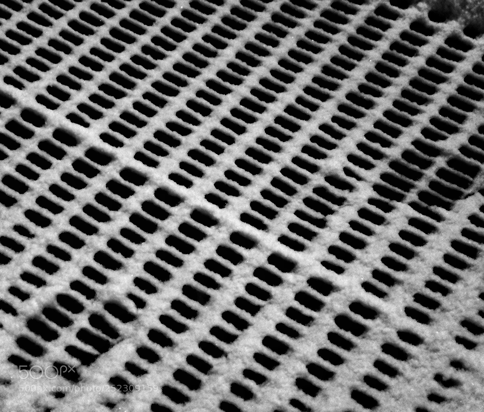 Samsung NX300 sample photo. The grid photography