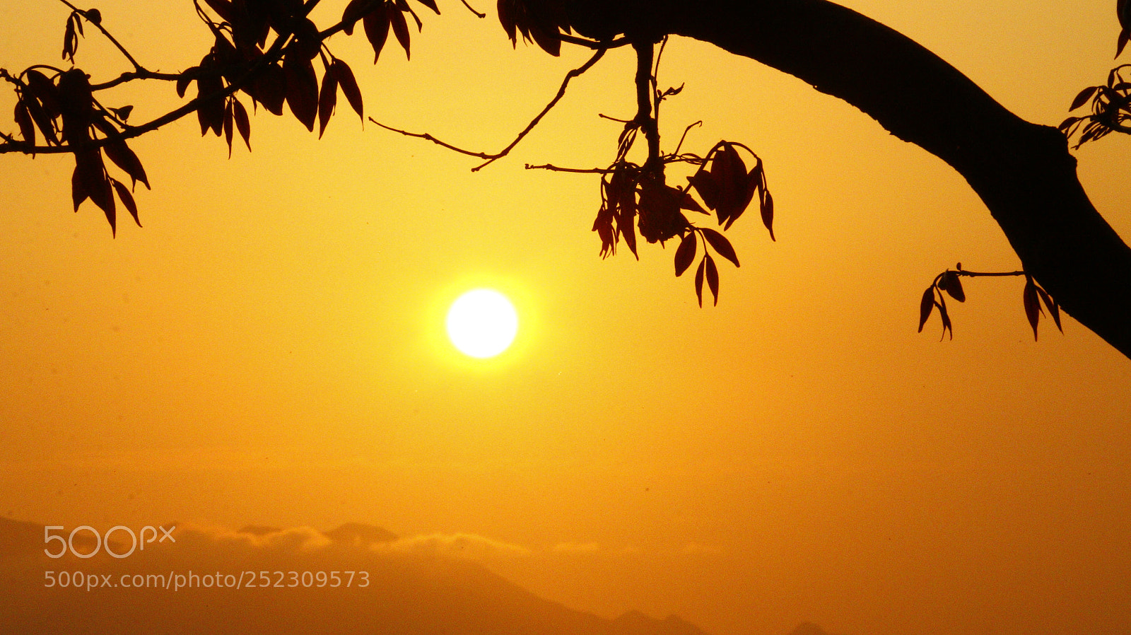 Canon EOS 70D sample photo. Sunaet photography