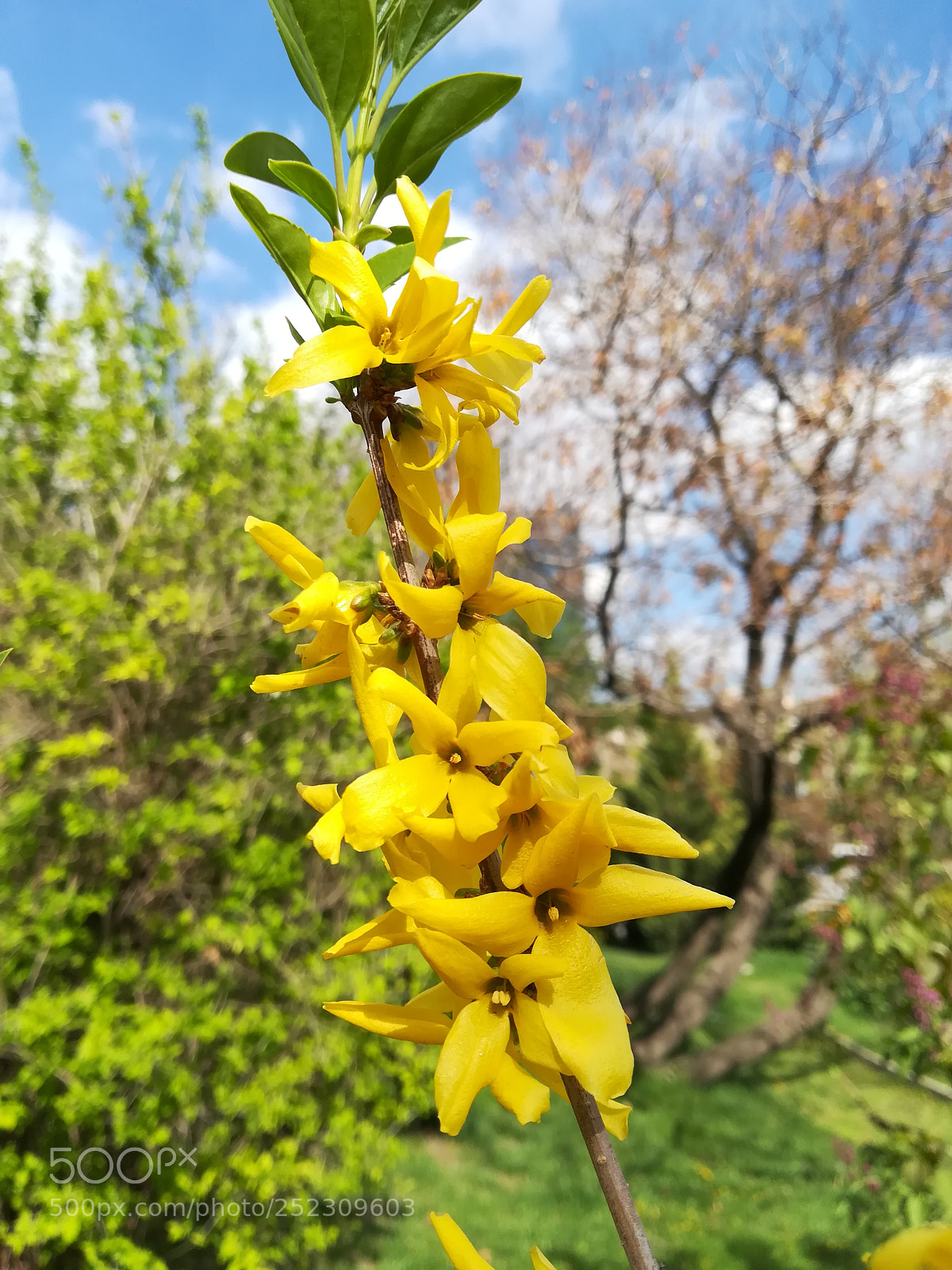 HUAWEI P10 lite sample photo. Untitled photography