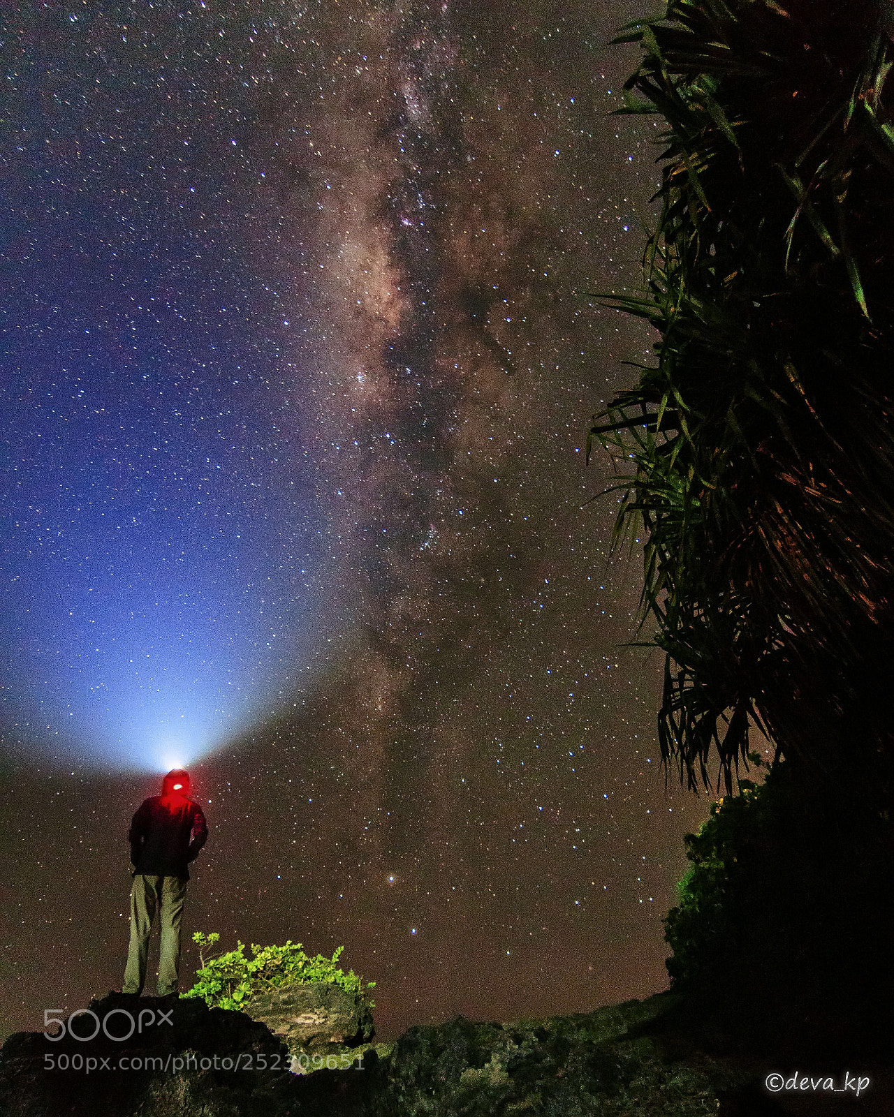 Canon EOS 600D (Rebel EOS T3i / EOS Kiss X5) sample photo. Milkyway chaser photography