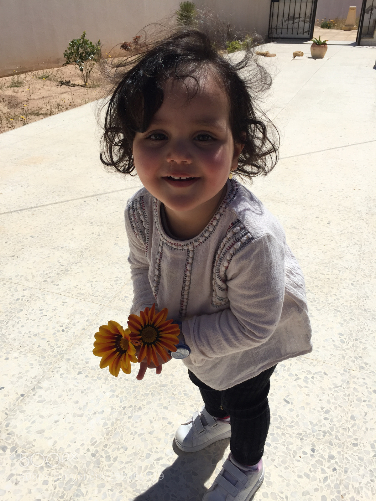 Apple iPhone 6 Plus sample photo. Img photography