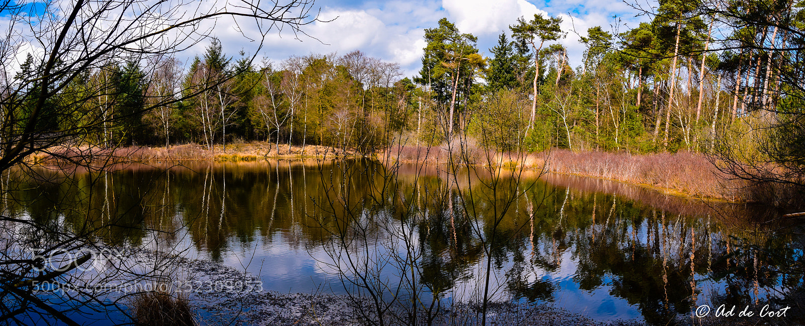 Nikon D5300 sample photo. Venrode, pond photography