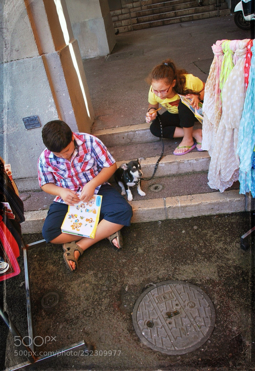 Nikon D60 sample photo. Bafdfcorig photography