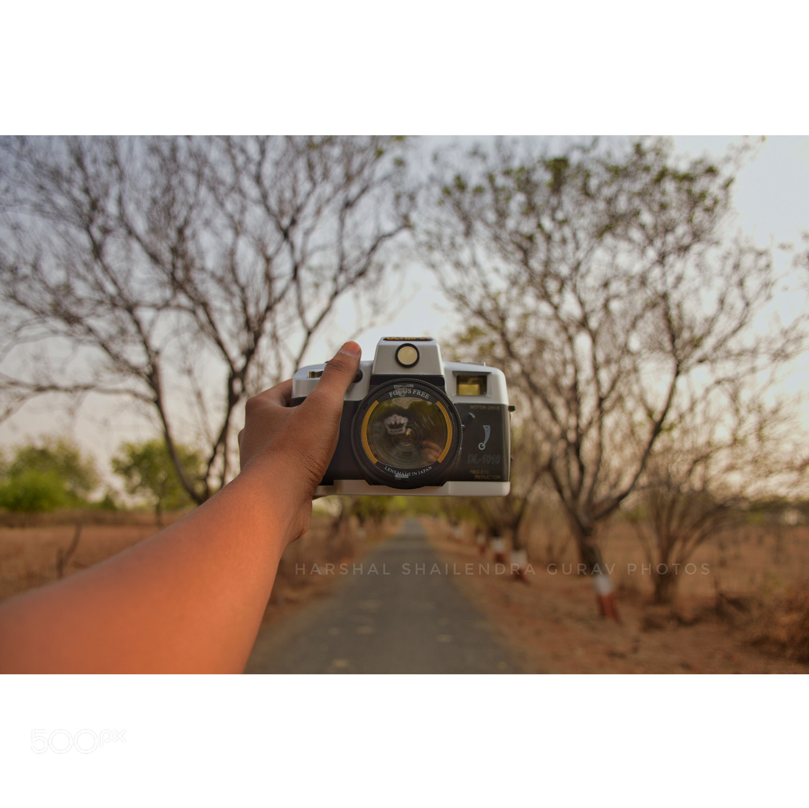 Nikon D5300 sample photo. That camera! photography