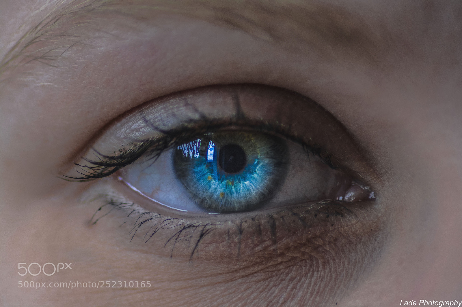 Nikon D7100 sample photo. Ocean eye photography