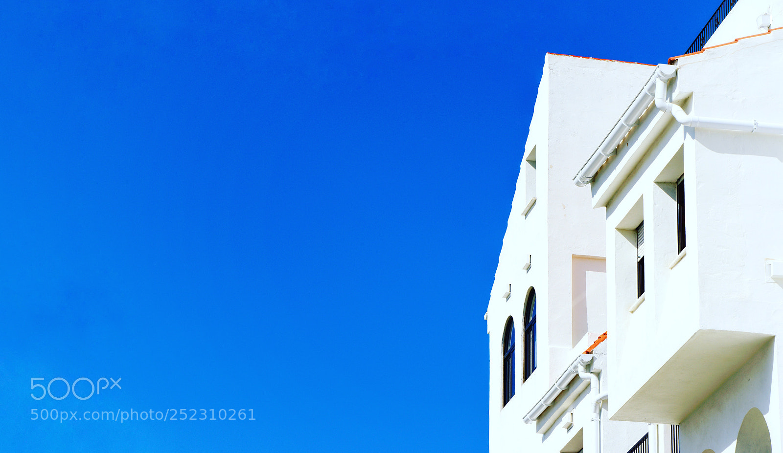 Nikon D810 sample photo. Untitled photography