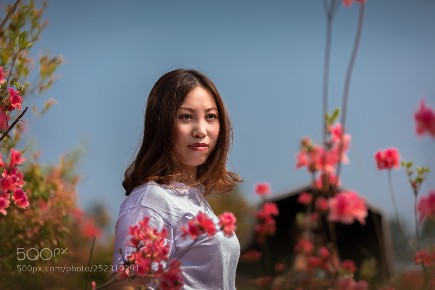 Canon EOS 5D Mark IV sample photo. Untitled photography
