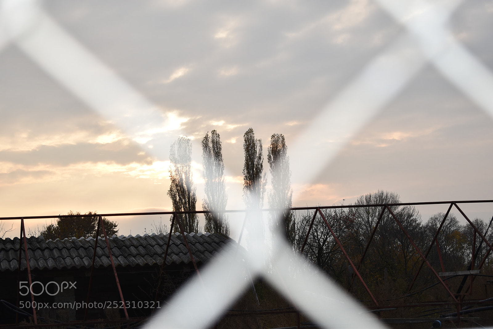 Nikon D5600 sample photo. Untitled photography