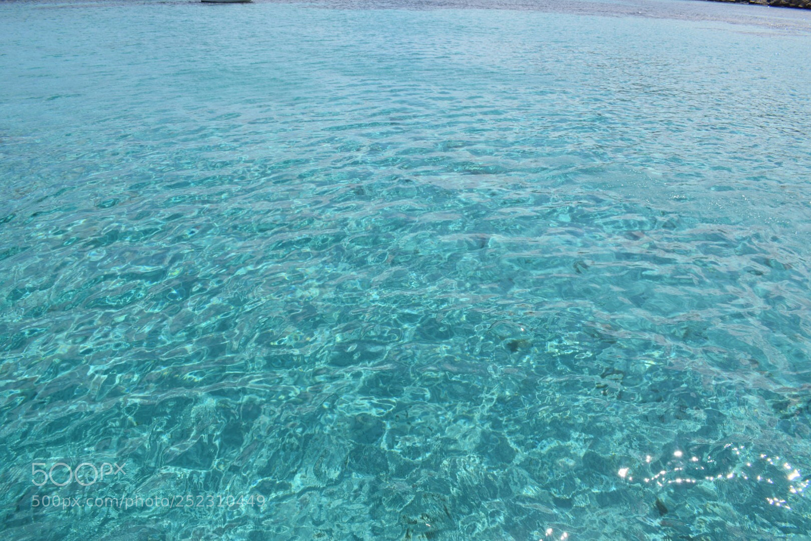 Nikon D5300 sample photo. Crystal clear photography