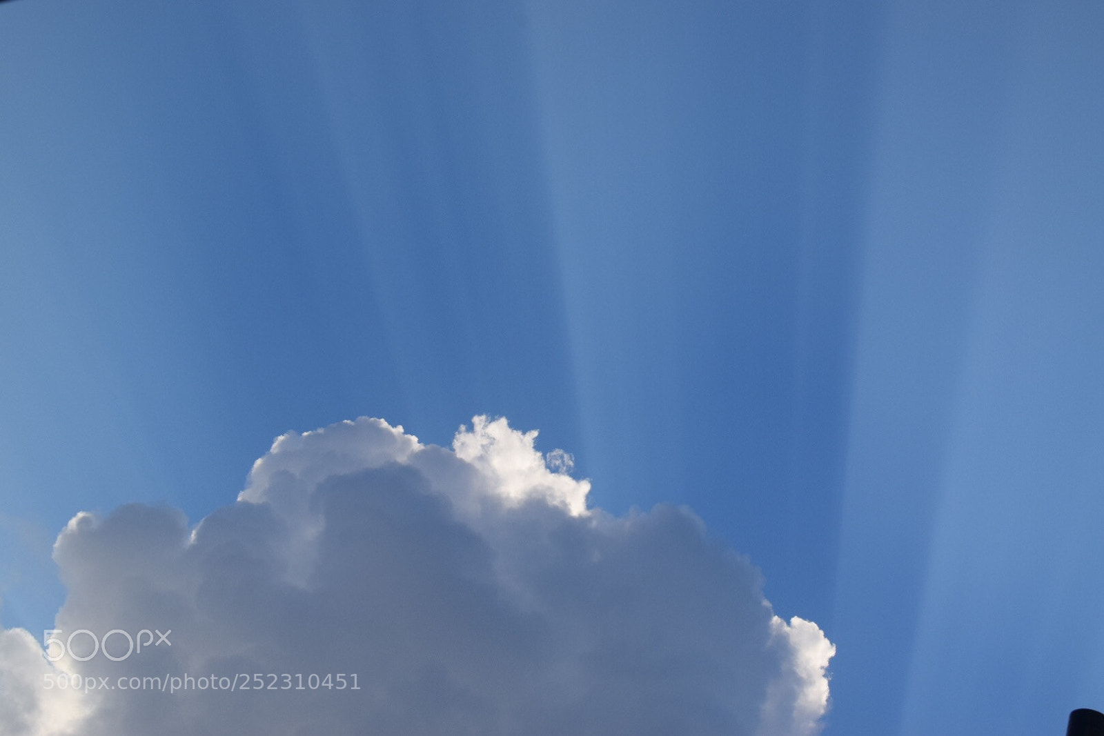 Nikon D5300 sample photo. Visible light photography