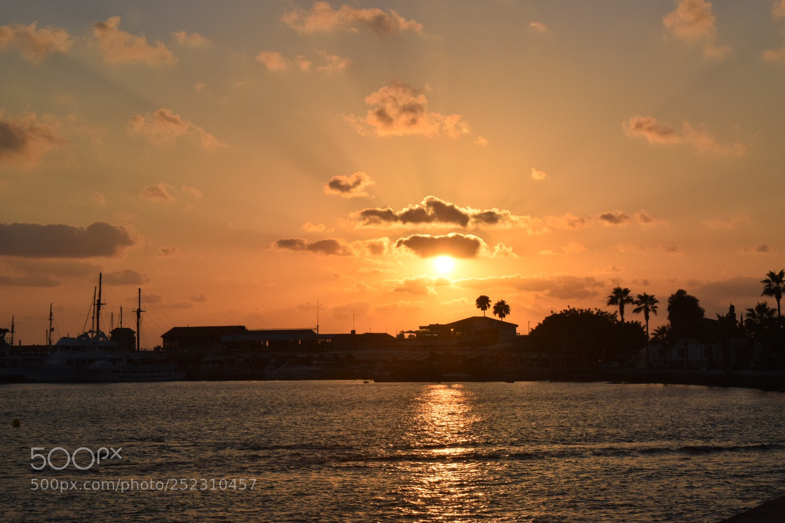 Nikon D5300 sample photo. Silhouette sunset photography