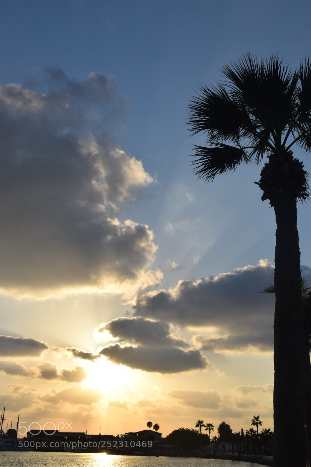 Nikon D5300 sample photo. Relaxation photography