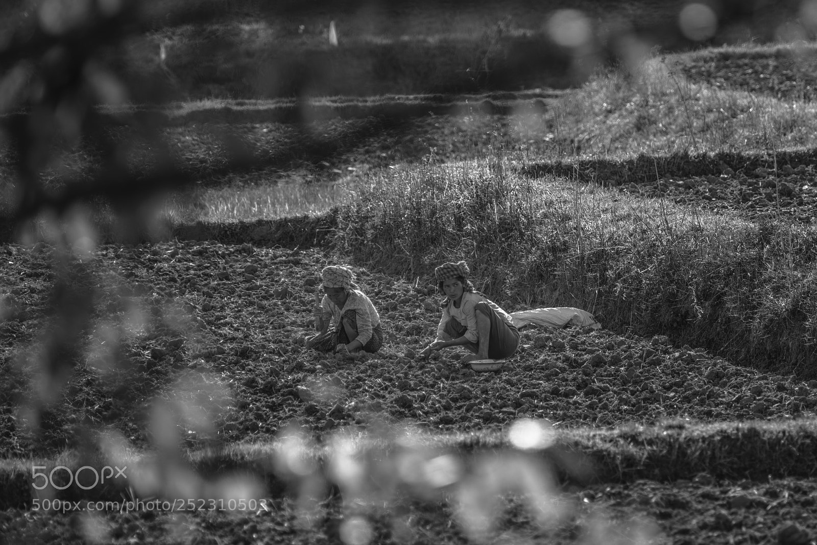 Nikon D850 sample photo. Portrait of myanmar photography