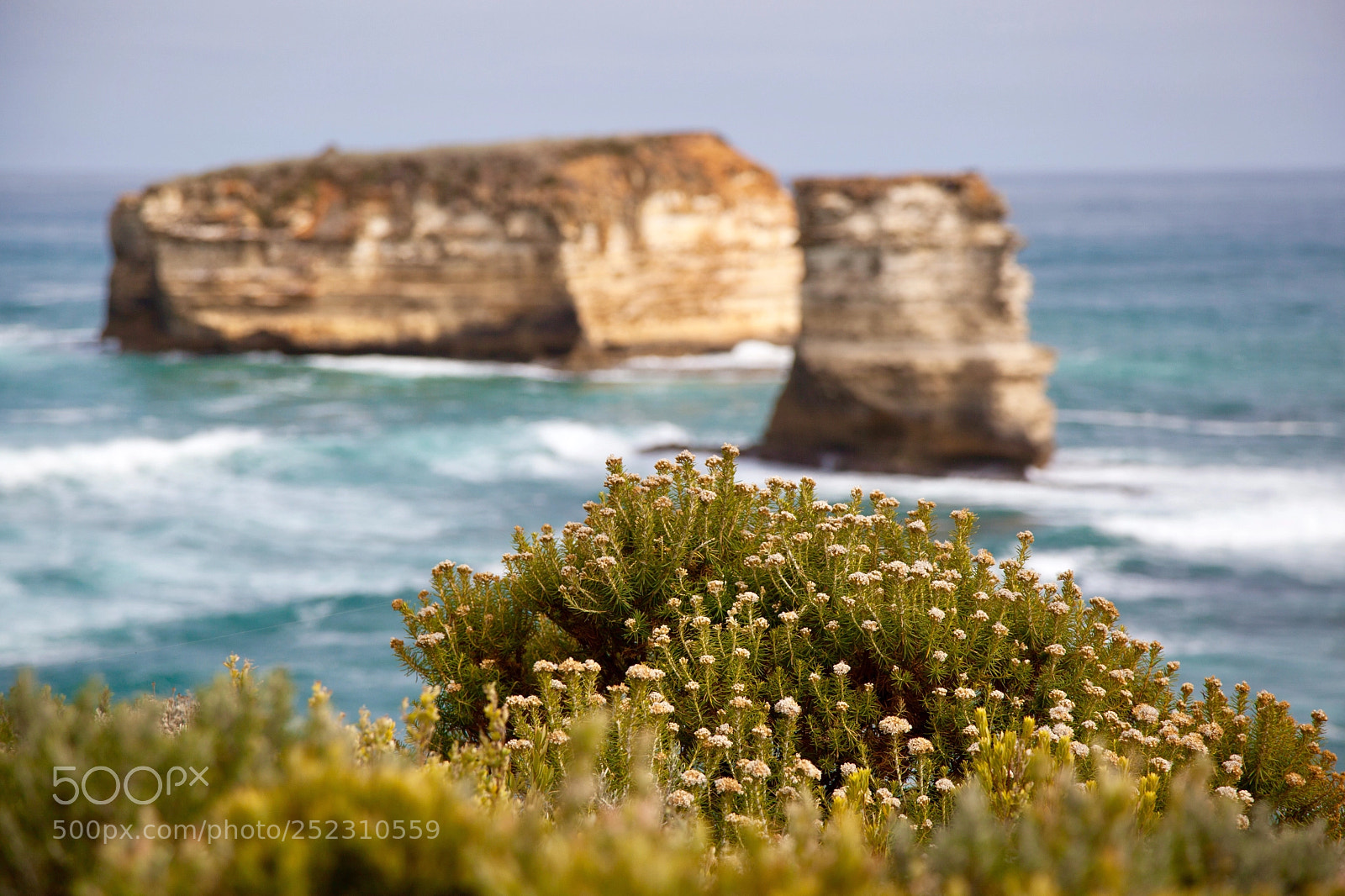 Canon EOS 5D Mark II sample photo. Grass, rock and ocean photography